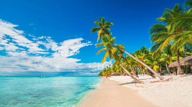 PUNTA CANA & BAYAHIBE 2025