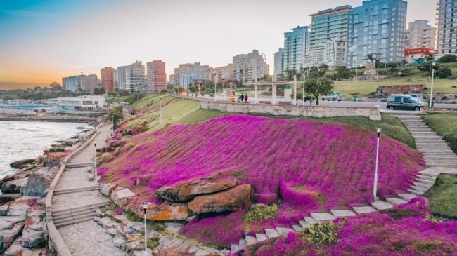 MAR DEL PLATA - FERIADO NOVIEMBRE