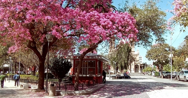 TALAMPAYA - FERIADO OCTUBRE